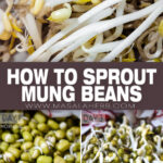 How to Sprout Mung Beans DIY pin