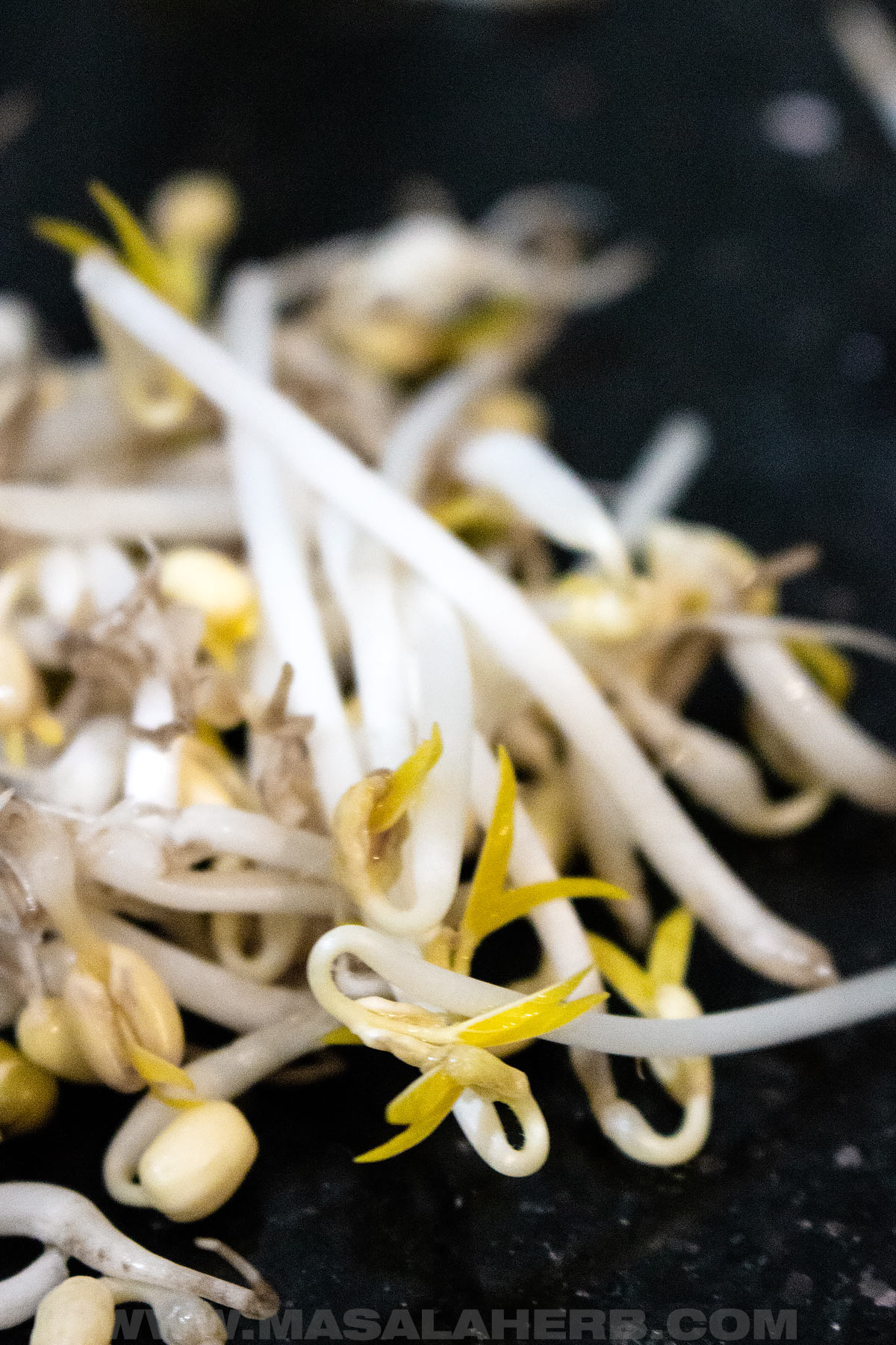 home sprouted mung beans