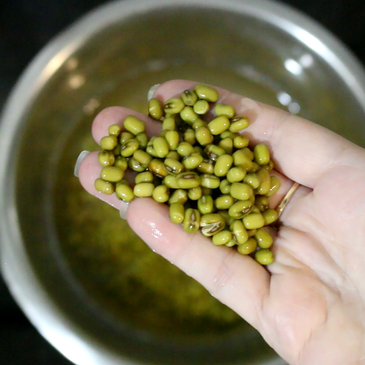 mung beans after soaking