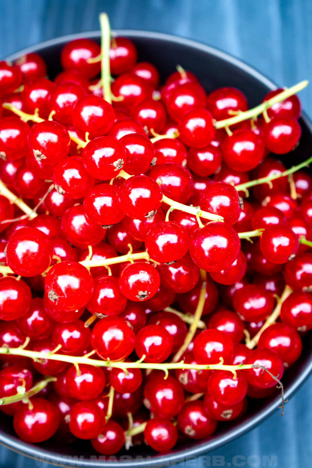 red currants freshly picked