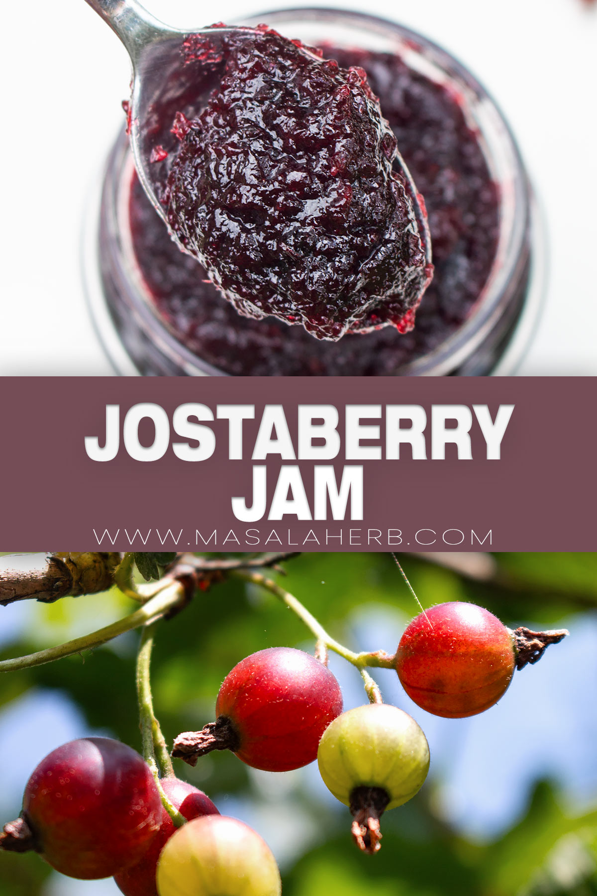 Jostaberry Jam Recipe pin