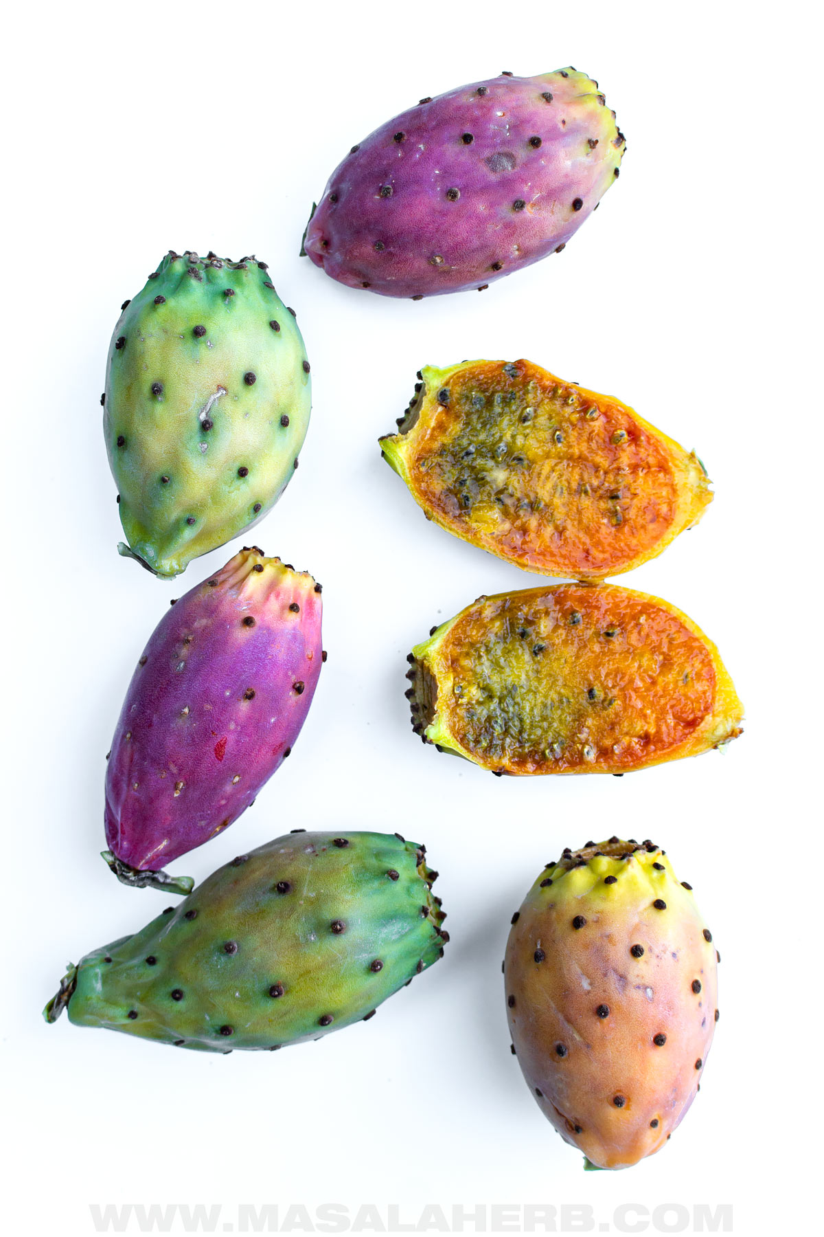 Prickly Pear