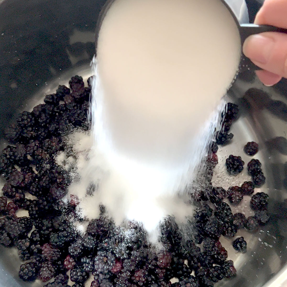 pour sugar to blackberries in a pan