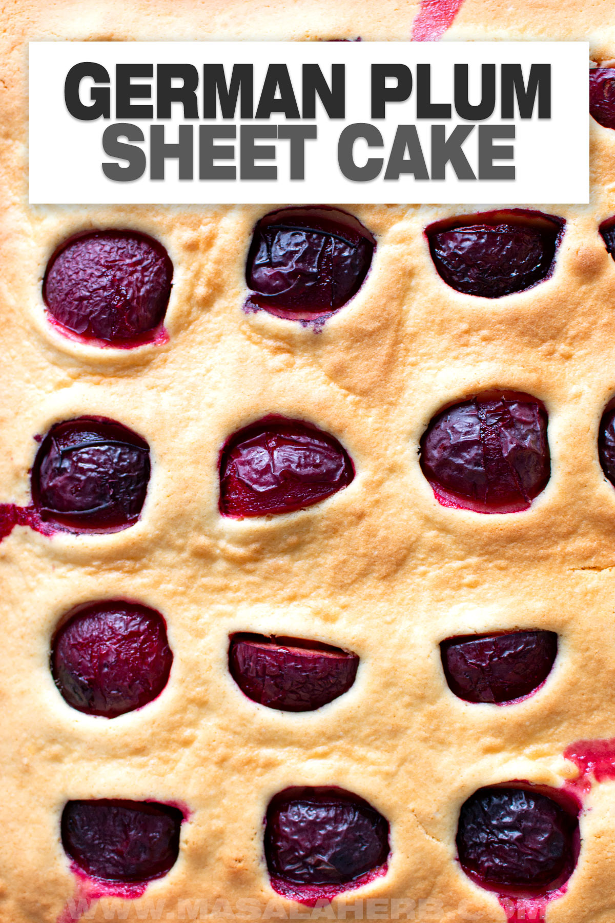 German Plum Sheet Cake cover