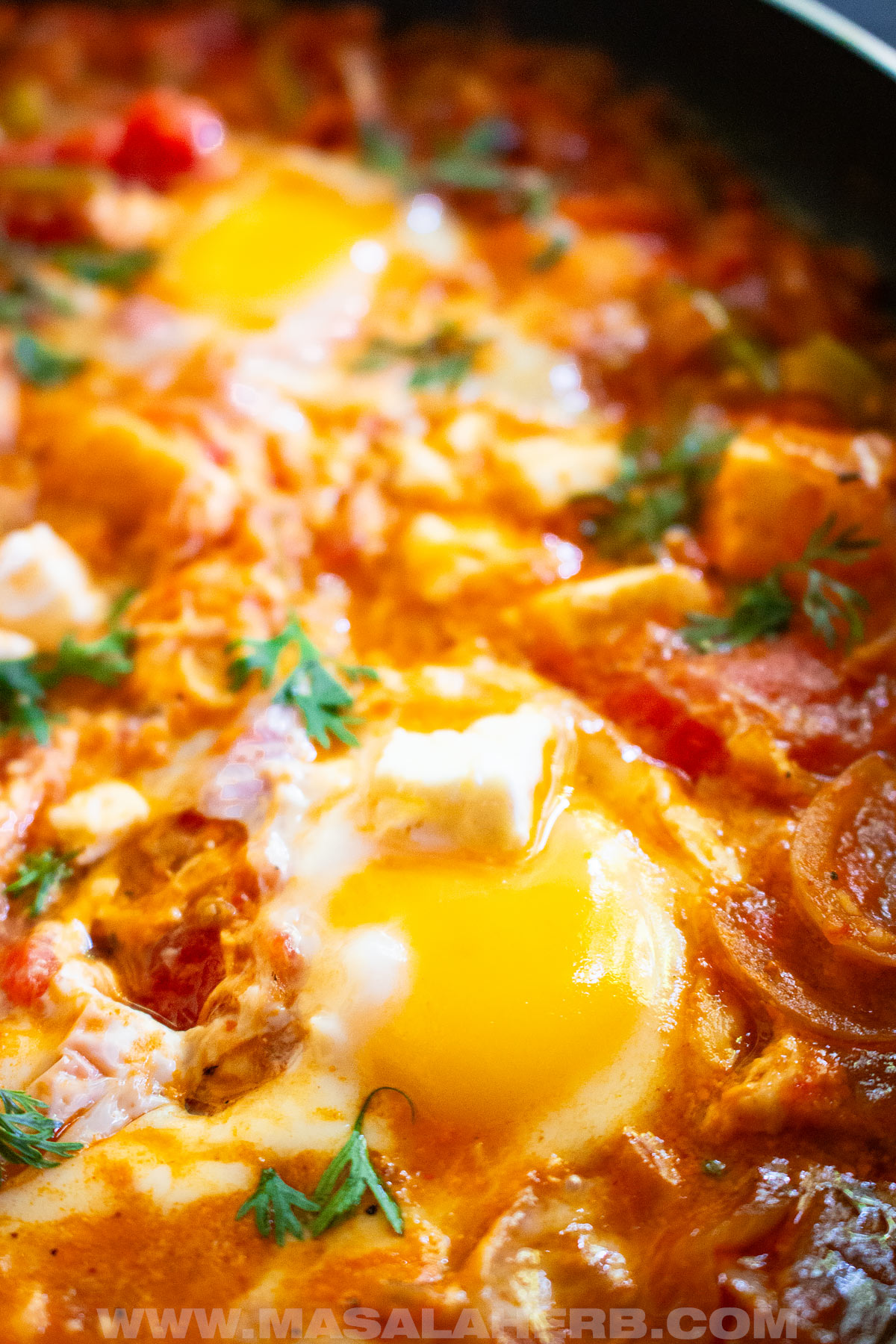 tomato feta shakshuka