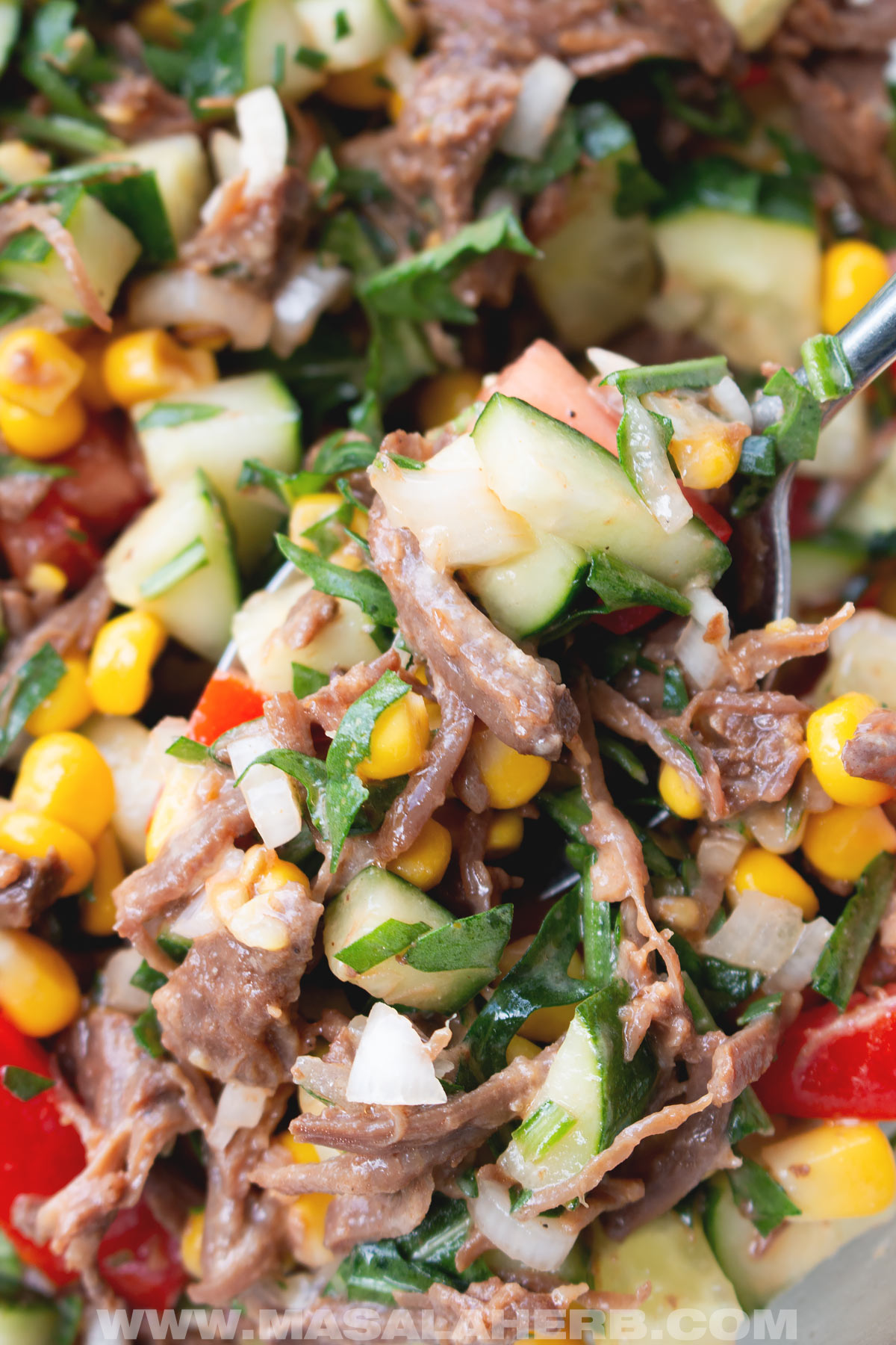 close up shredded beef salad