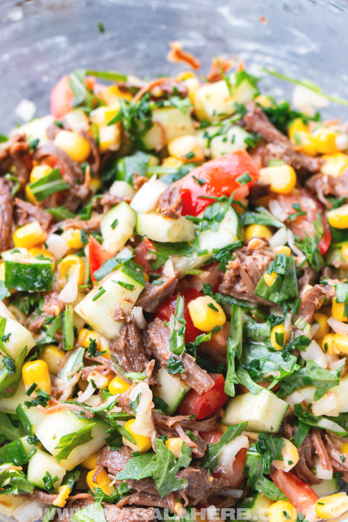 salad with shredded cooked beef