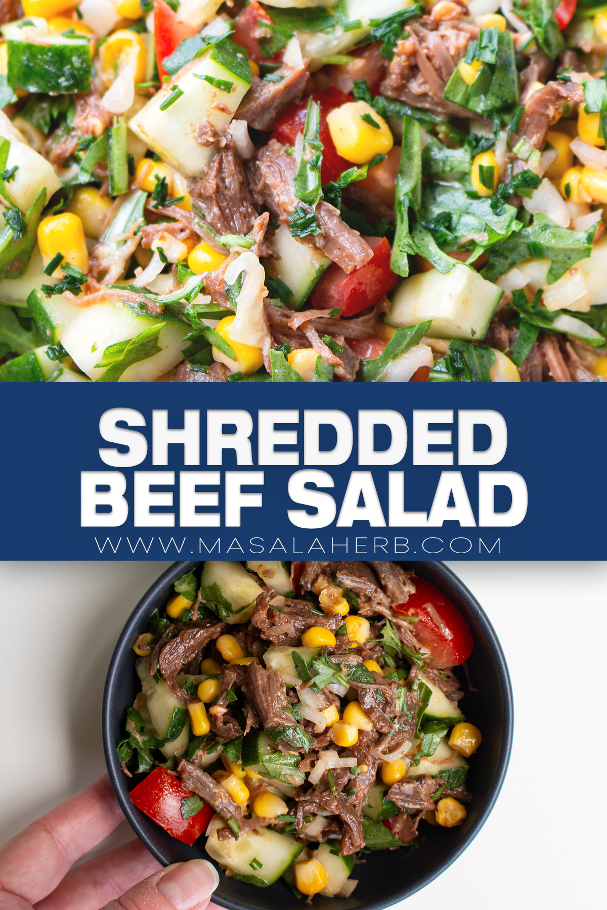 Shredded Beef Salad pin