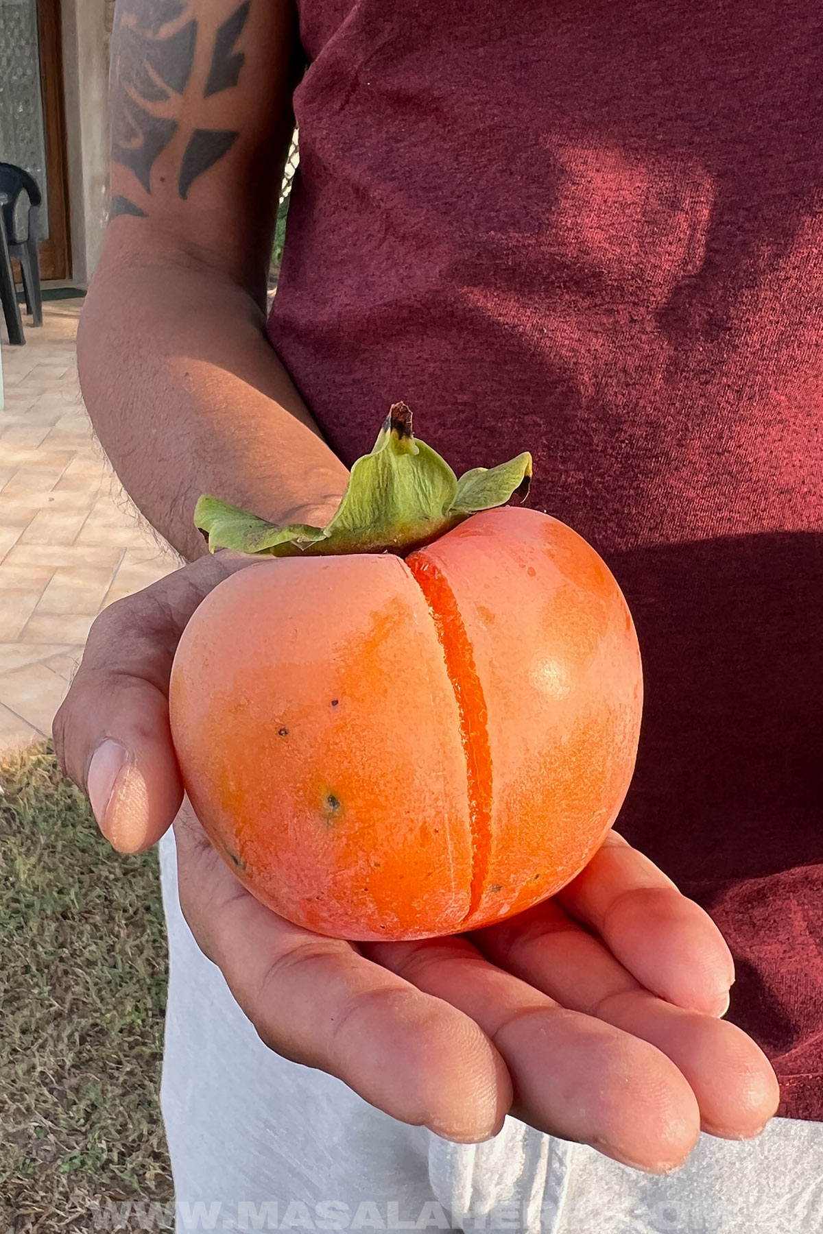 Persimmons in Italy
