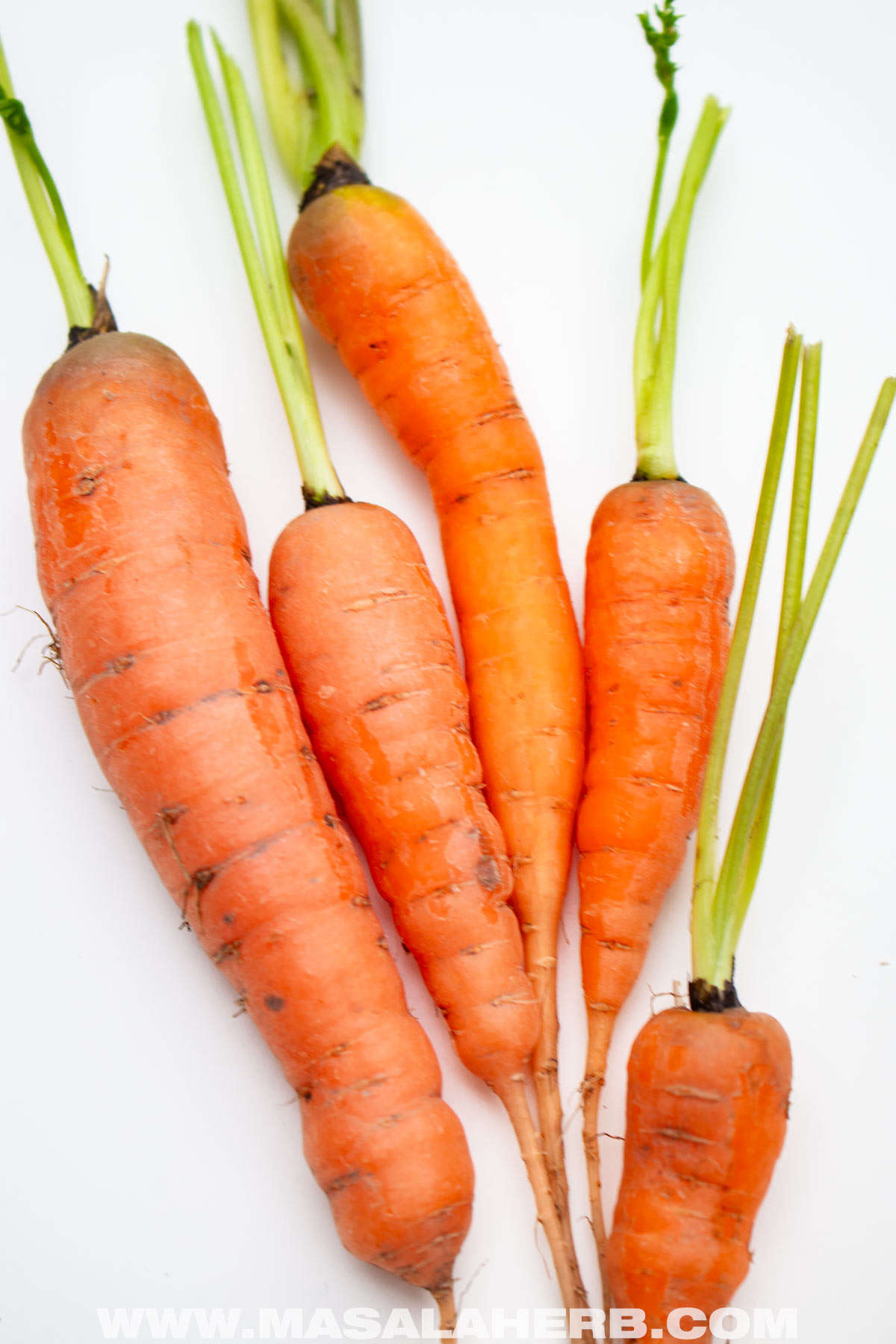 fresh carrots
