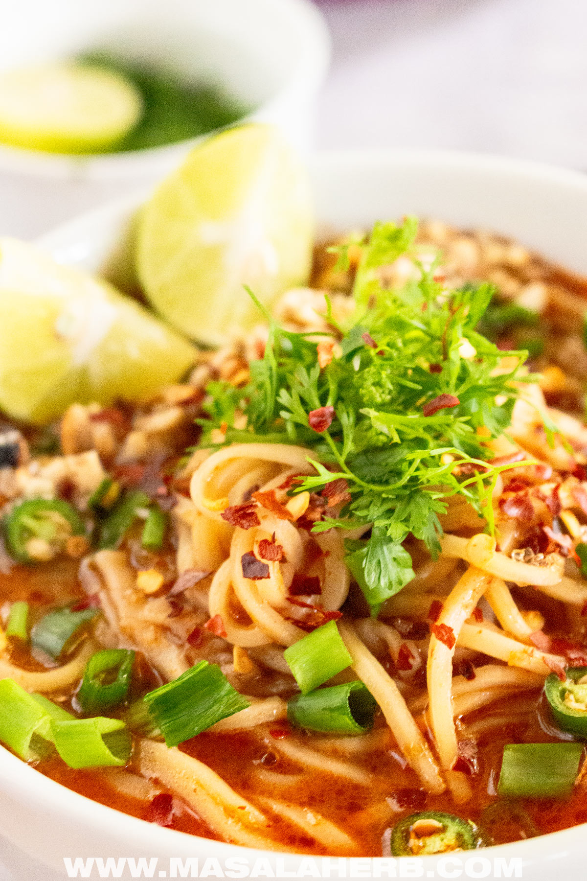 fresh thai noodle soup