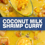 Coconut Milk Shrimp Curry Recipe pin
