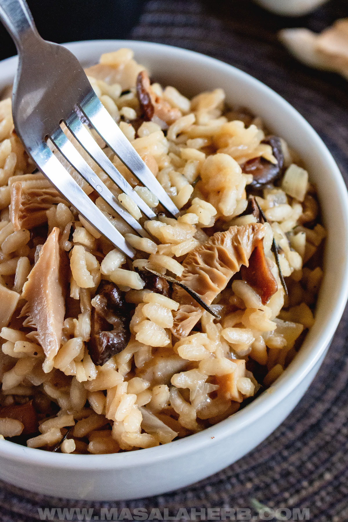 Mixed Mushroom Risotto