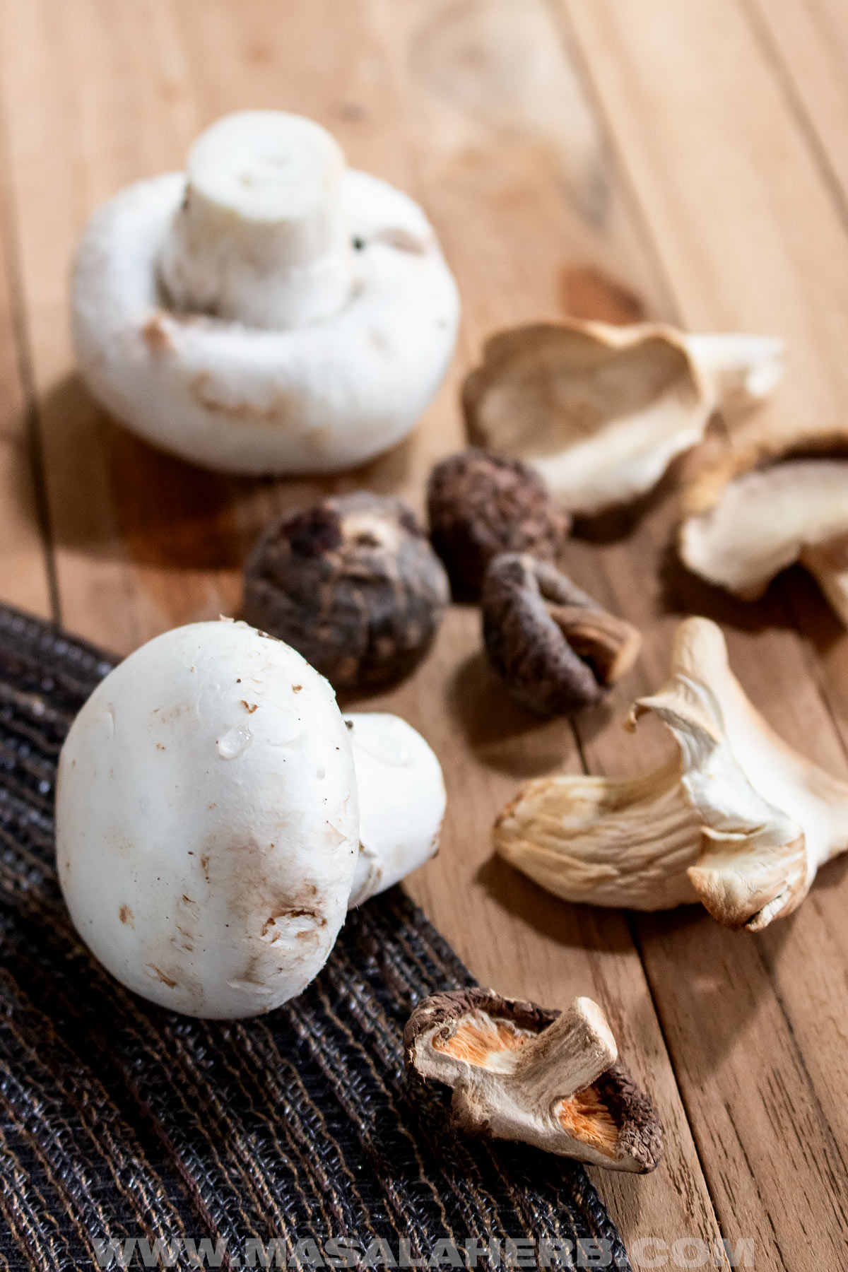 fresh and dried mushrooms