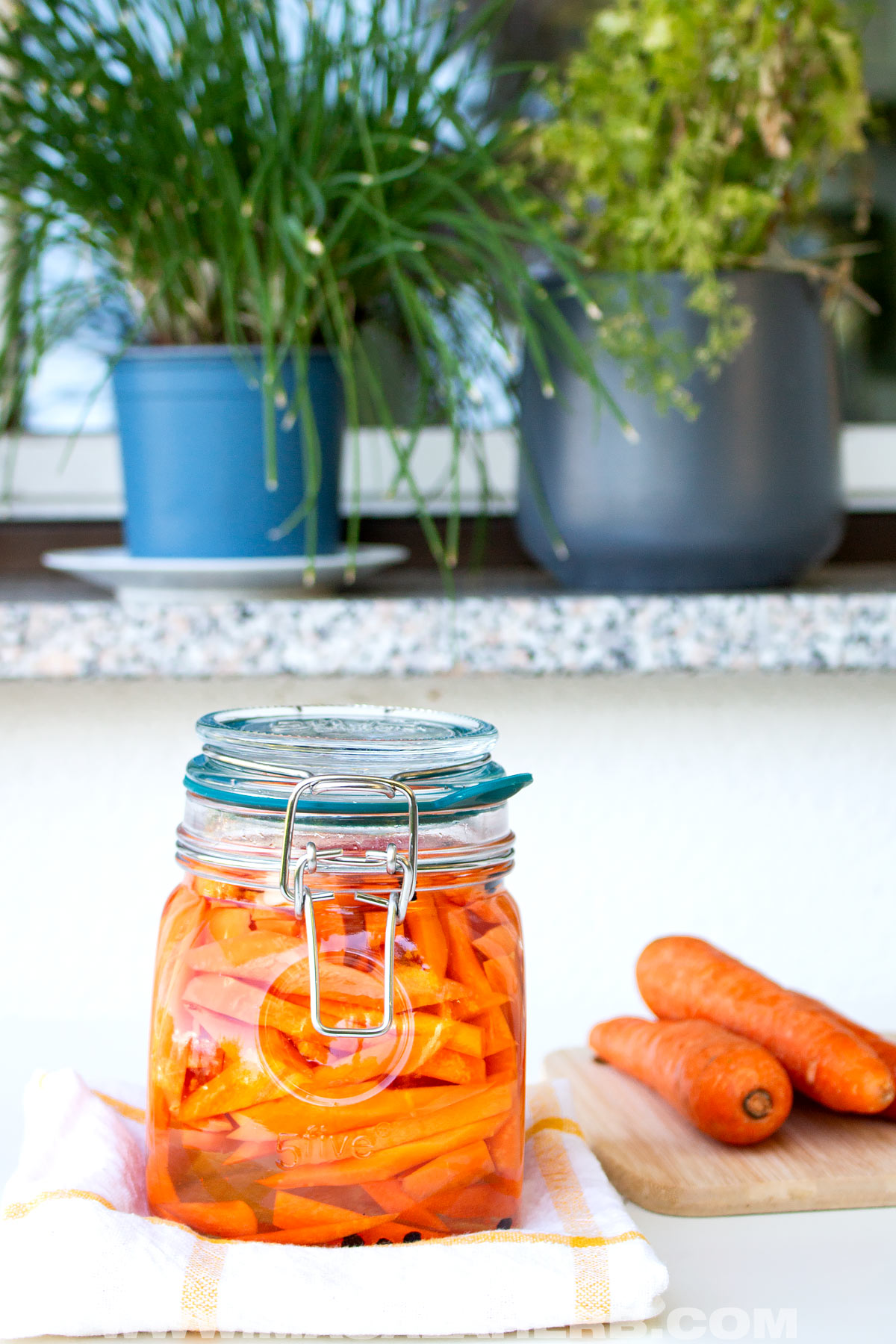 pickling carrot sticks