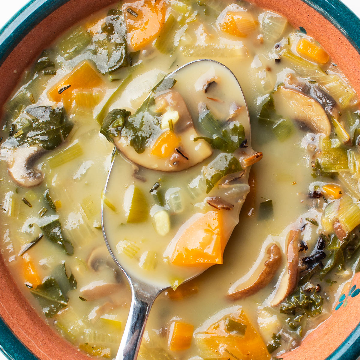 Vegetable Wild Rice Soup Recipe