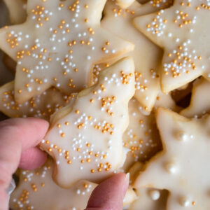 cookies with a sugar glaze