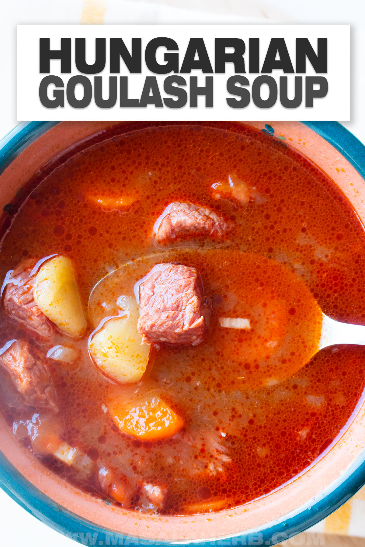 Hungarian Goulash Soup Recipe cover