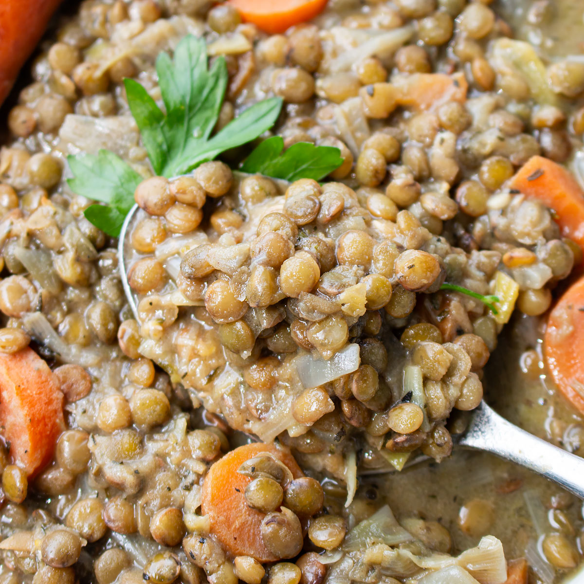 puy lentils