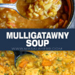 Chicken Mulligatawny Soup Recipe pin