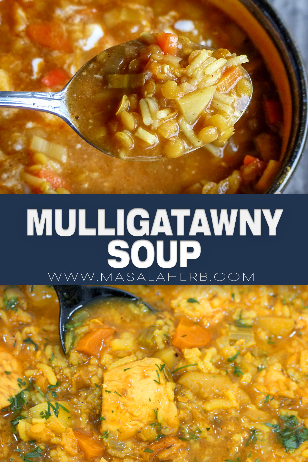 Chicken Mulligatawny Soup Recipe pin