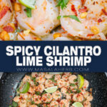Spicy Cilantro Lime Shrimp Recipe pin